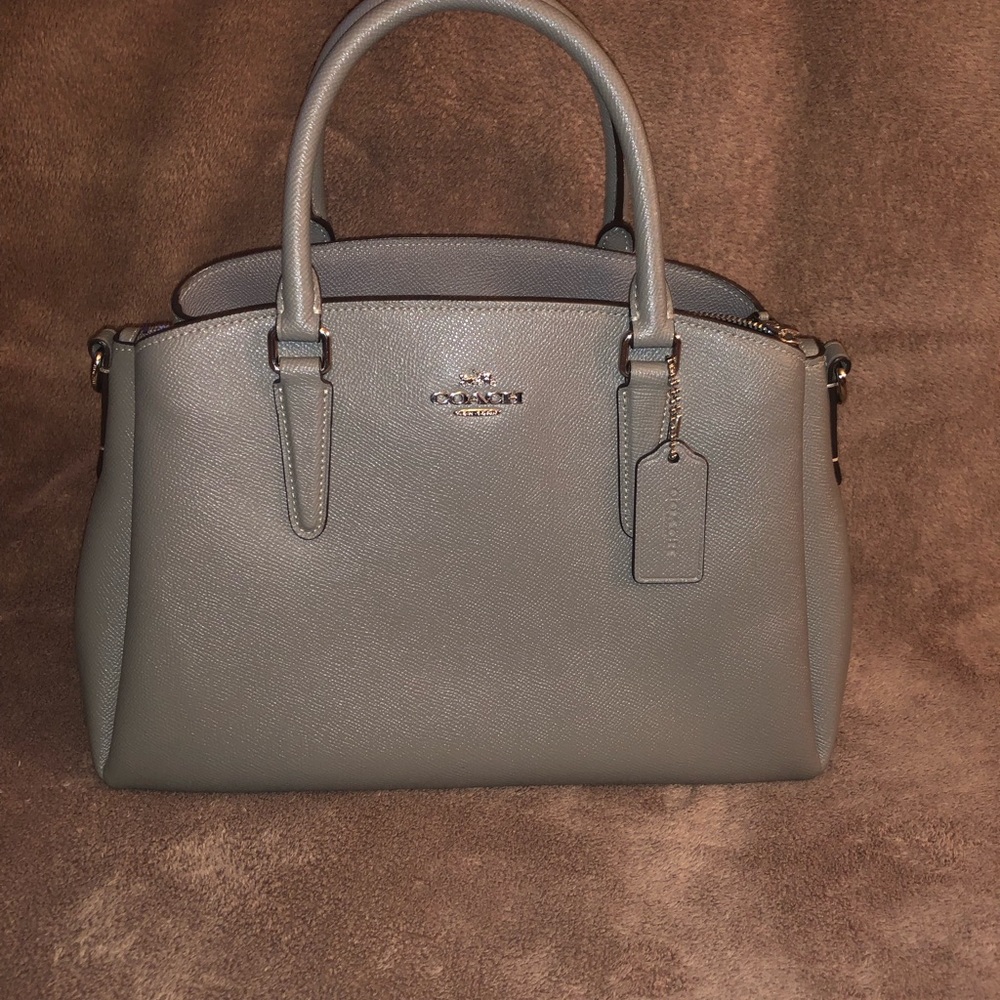 Sage Carryall